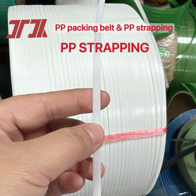 Parties de la machine d'extrusion TES, bande d'emballage en PP à bonne plasticité