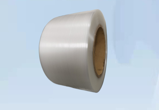 L'ANIMAL FAMILIER pp de la largeur 5mm 19mm attachent les ceintures de empaquetage de courroie de la machine 4 d'extrusion