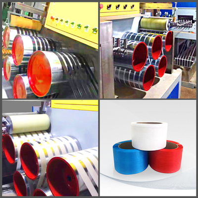 L'épaisseur 0.4mm 1.2mm pp attachent la machine d'extrusion de bande d'ANIMAL FAMILIER d'extrudeuse