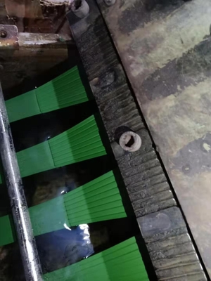 Ligne d'extrusion de courroie d'ANIMAL FAMILIER de haute performance avec la largeur du contrôle 9-32mm de PLC