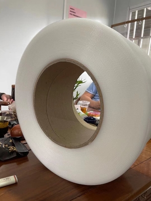 Ligne d'extrusion de bande de sangle CE PP avec une largeur de 5 à 19 mm et une épaisseur de 0,4 à 1,2 mm