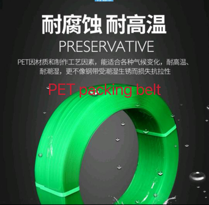 Ceinture d'emballage en PET, ceinture d'emballage en acier en plastique PET, force de traction: 200-1000KG, résistance au froid, résistance à l'humidité,