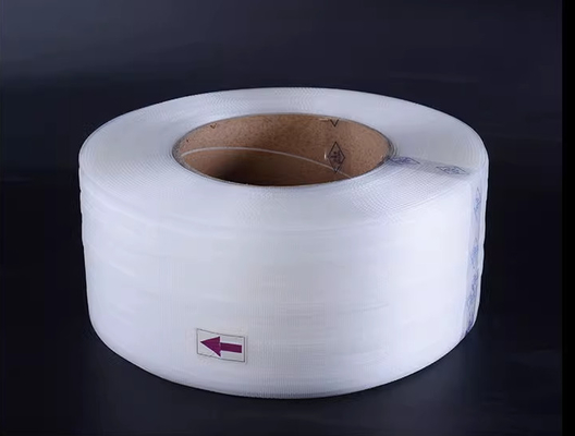 Efficacité à vis unique Ruban d'emballage en PP de haute qualité 30 à 60 kg/h Capacité de la bande pour 50 à 200 kg