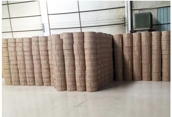 Ceinture d'emballage automatique en PP de 5 à 19 mm, ceinture à haute vitesse en PP, ceinture en PET