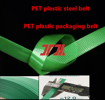 Taille spéciale de l'emballage lourd de couleur verte de la ceinture pour animaux de compagnie à partir de flocons de bouteille