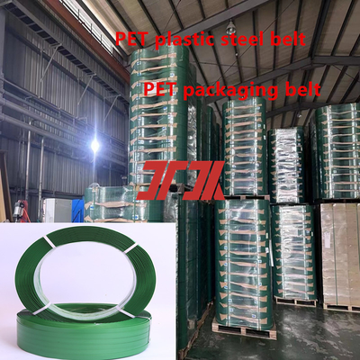 L'équipement de ceinture en acier en plastique pour animaux de compagnie fiable de 9-25 mm avec échangeur d'écran automatique