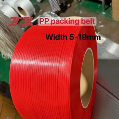 Ceinture de fixation en PP transparente de 519 mm de polypropylène en PP