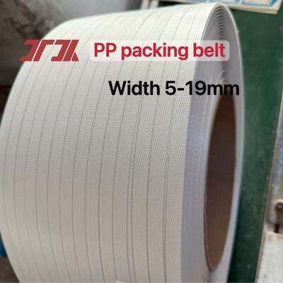 Ceinture de fixation en PP transparente de 519 mm de polypropylène en PP