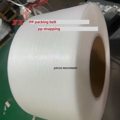 Ceinture de fixation en PP transparente de 519 mm de polypropylène en PP