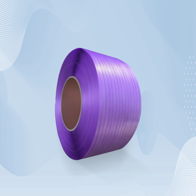 OIN de bandage de empaquetage de cerclage de la CE de courroies de petit pain de boîte résistante fendue de pp