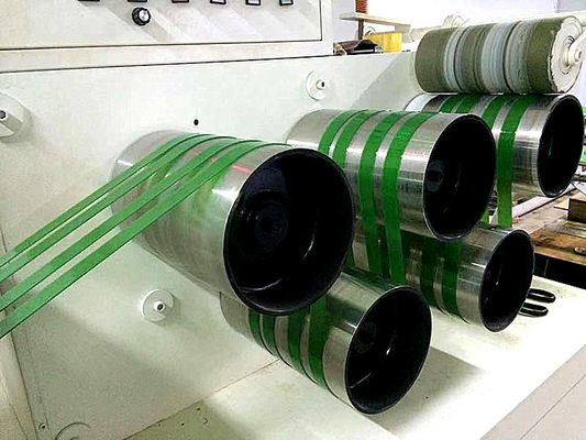 Chaîne de production en plastique de ceinture de contrôle de PLC le ruban de rangement d'emballage d'ANIMAL FAMILIER faisant la machine