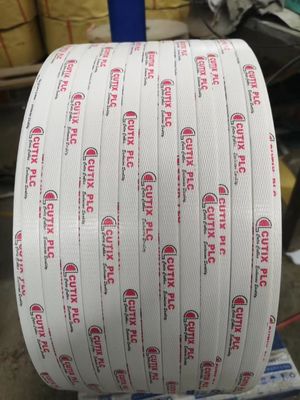 Machine de fabrication de sangles d'emballage en PP à commande PLC Siemens Extrudeuse à bande de sangle à moteur Plastique non rouilleuse