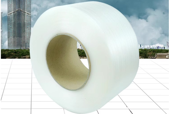 Parties de la machine d'extrusion TES, bande d'emballage en PP à bonne plasticité