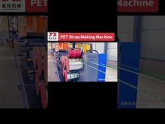 Machine de fabrication de sangles de polyester CE ISO ligne de sangles pour animaux de compagnie