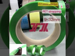 Ceinture en acier en plastique d'ANIMAL FAMILIER