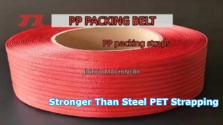 Ceinture d'emballage en PP de 5 à 19 mm